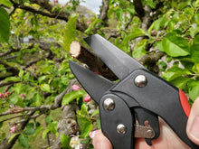 Load image into Gallery viewer, Arius Garden Ratchet Flat Anvil Pruner
